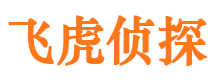 顺河市私家侦探